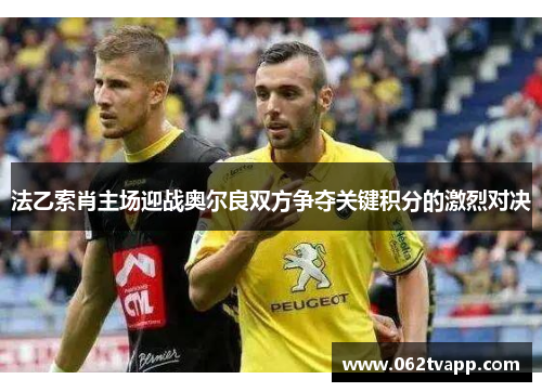 法乙索肖主场迎战奥尔良双方争夺关键积分的激烈对决